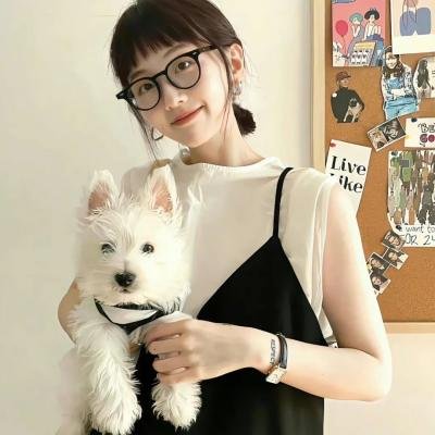 美人镖局